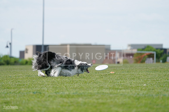 RielVisuals_20240525_123616_SJR00532