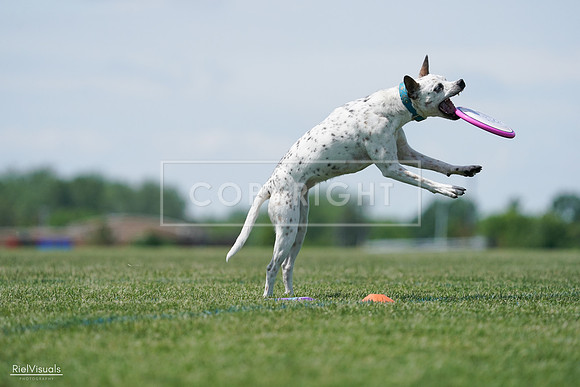 RielVisuals_20240525_120319_SJR08448