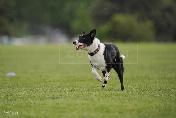 RielVisuals_20240526_093444_SJR00468