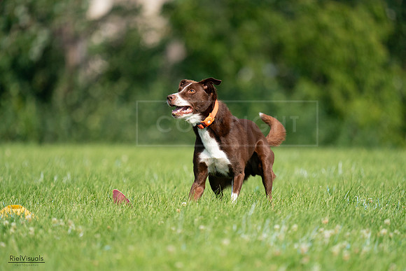 RielVisuals_20240727_100710_SJR08592
