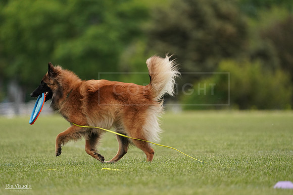 RielVisuals_20240526_134729_SJR09075