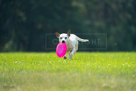 RielVisuals_20240727_120958_SJR04895