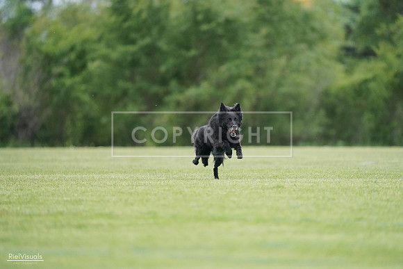 RielVisuals_20240525_164914_SJR05501
