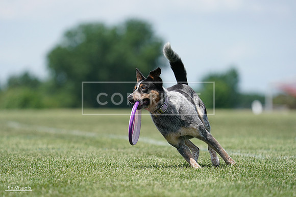 RielVisuals_20240525_122240_SJR09633