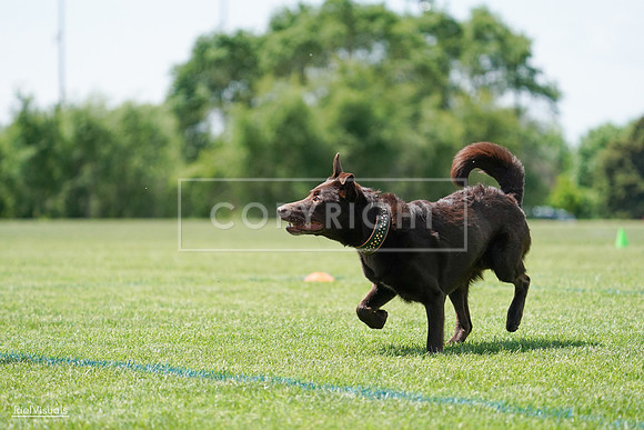 RielVisuals_20240525_120802_SJR08744