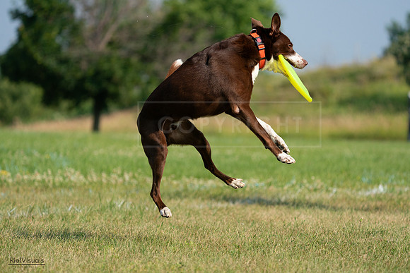 RielVisuals_20240727_093710_SJR06974