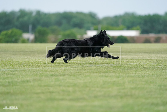 RielVisuals_20240525_164917_SJR05528