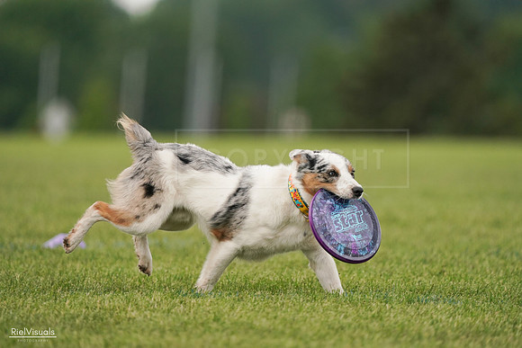 RielVisuals_20240527_140142_SJR01264