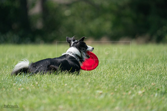 RielVisuals_20240728_142145_SJR08137
