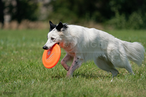 RielVisuals_20240728_121814_SJR03536