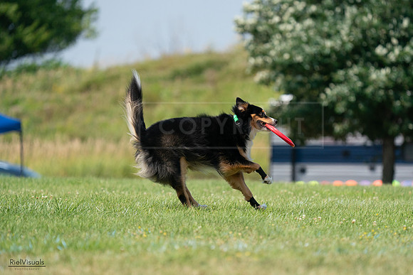 RielVisuals_20240727_140631_SJR09630