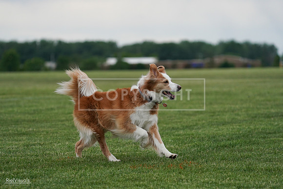 RielVisuals_20240525_170858_SJR06270