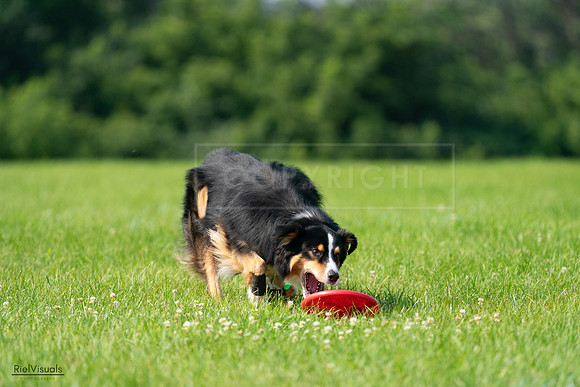 RielVisuals_20240728_100336_SJR07087