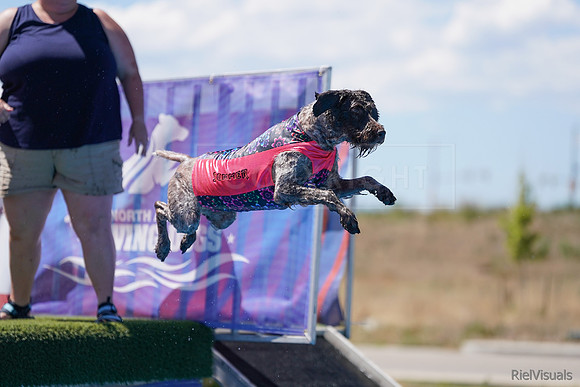SJR02596