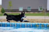 SJR08968