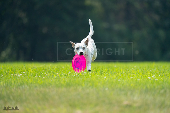 RielVisuals_20240727_120958_SJR04896