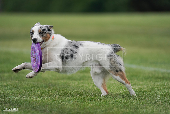 RielVisuals_20240525_165230_SJR05666
