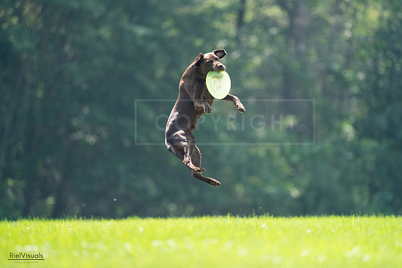 RielVisuals_20240727_123343_SJR05860