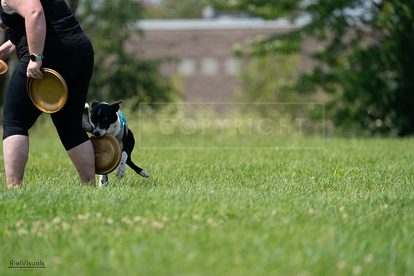RielVisuals_20240727_135639_SJR09036