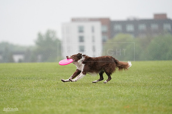 RielVisuals_20240527_104348_SJR01366