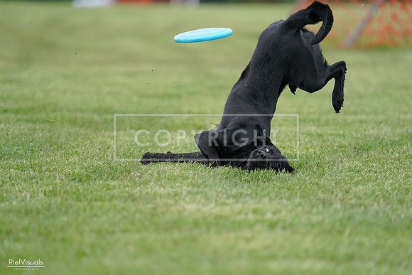 RielVisuals_20240525_170457_SJR06018