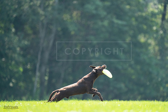 RielVisuals_20240727_123353_SJR05874