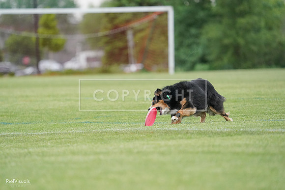 RielVisuals_20240525_171322_SJR06446