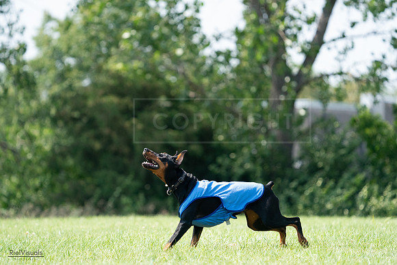 RielVisuals_20240728_145851_SJR09765