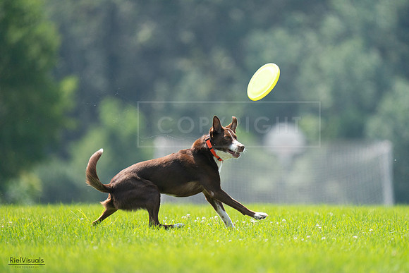 RielVisuals_20240727_123242_SJR05826