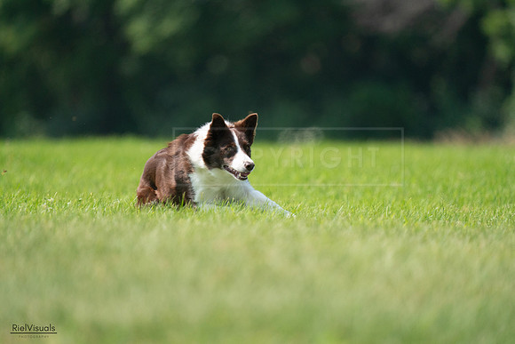 RielVisuals_20240727_115632_SJR04379