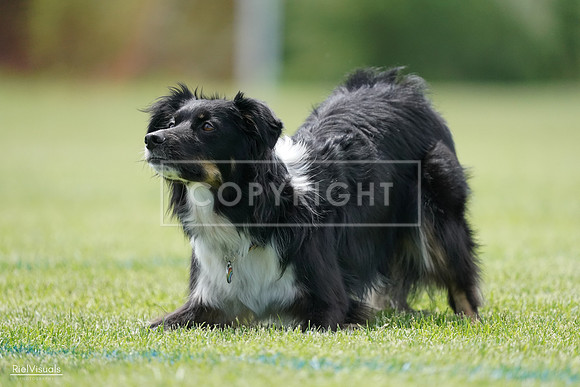 RielVisuals_20240525_123802_SJR00597
