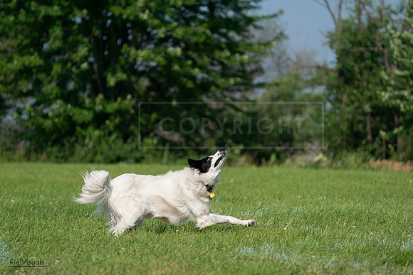 RielVisuals_20240728_102848_SJR08206
