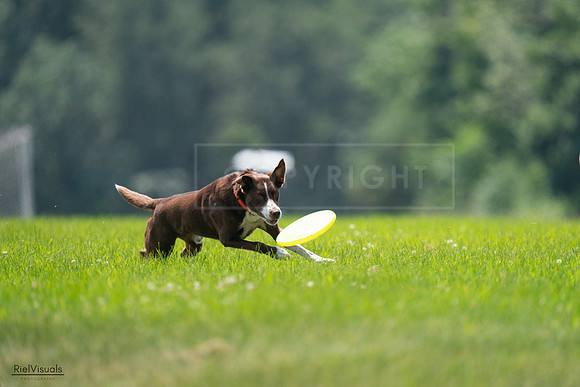 RielVisuals_20240727_123242_SJR05835