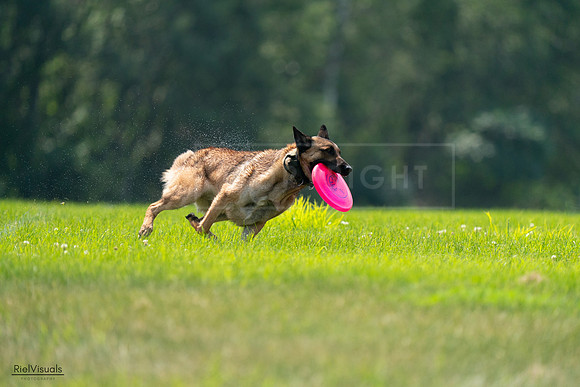 RielVisuals_20240727_123628_SJR05983
