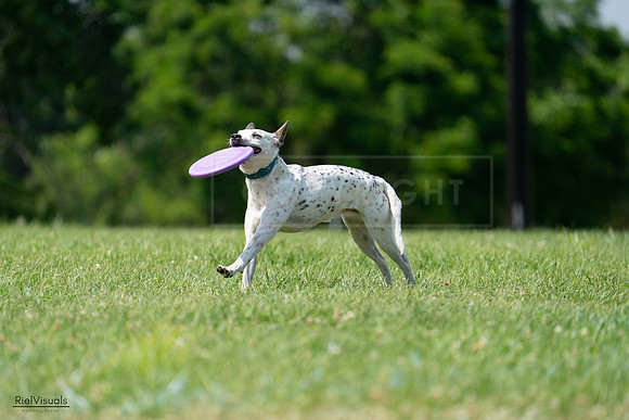 RielVisuals_20240728_144248_SJR08975
