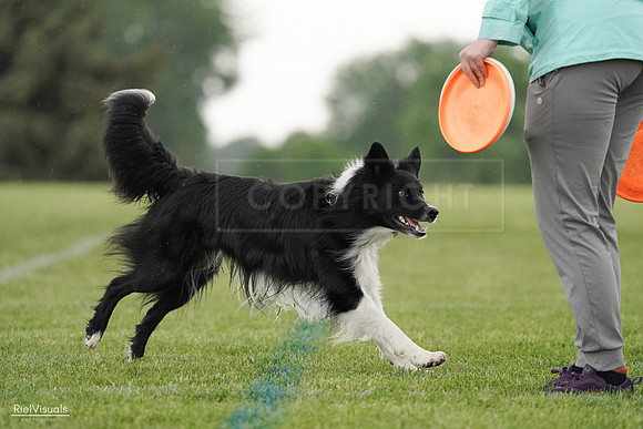 RielVisuals_20240526_095416_SJR01296