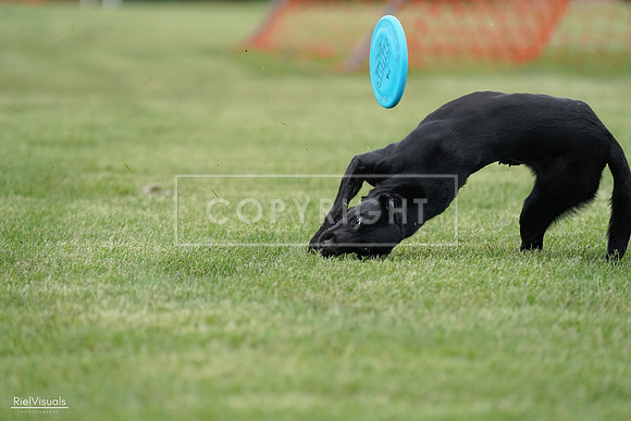 RielVisuals_20240525_170457_SJR06020