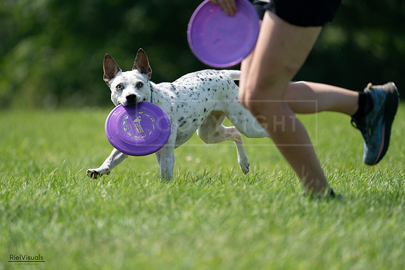 RielVisuals_20240728_151542_SJR00423