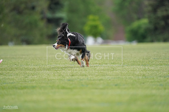 RielVisuals_20240525_164610_SJR05404