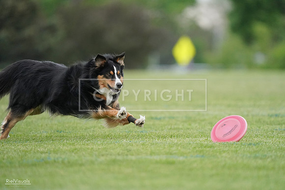 RielVisuals_20240525_171349_SJR06527
