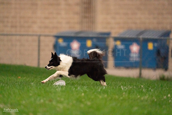 RielVisuals_20240722_203631_SJR04070