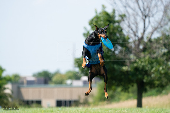 RielVisuals_20240728_145907_SJR09790