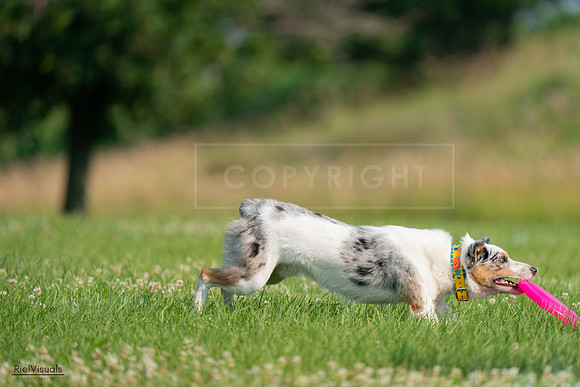 RielVisuals_20240727_092213_SJR06025