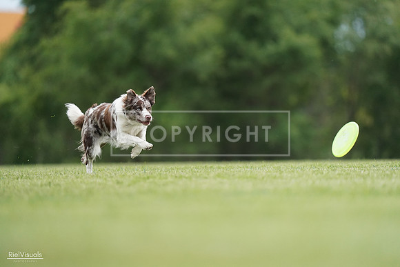 RielVisuals_20240525_161038_SJR03631