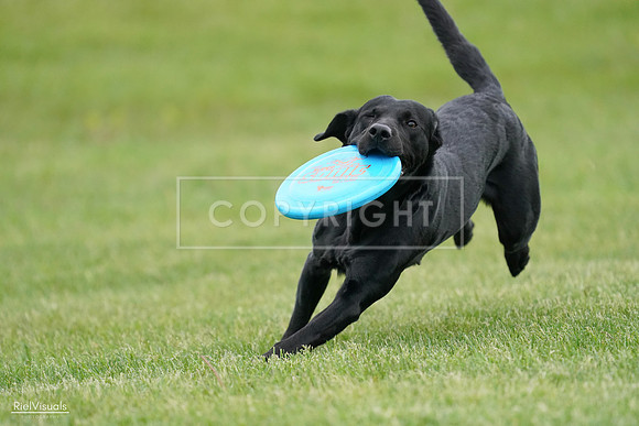 RielVisuals_20240525_163946_SJR05119