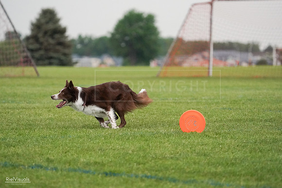 RielVisuals_20240527_091418_SJR06581