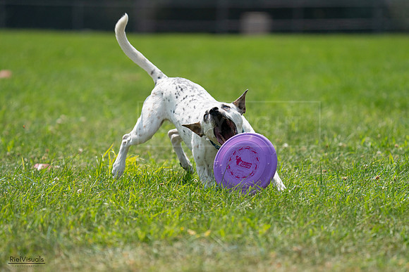 RielVisuals_20240728_140022_SJR07769