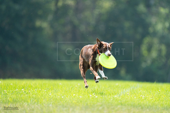 RielVisuals_20240727_121055_SJR04930