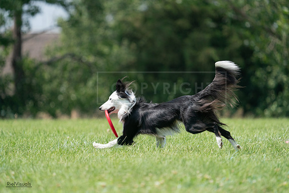 RielVisuals_20240728_142103_SJR08091