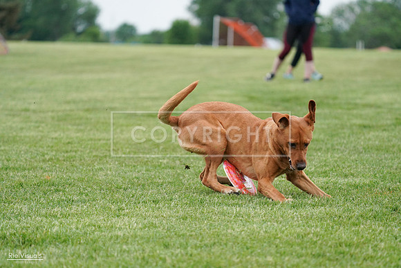 RielVisuals_20240525_165902_SJR05764
